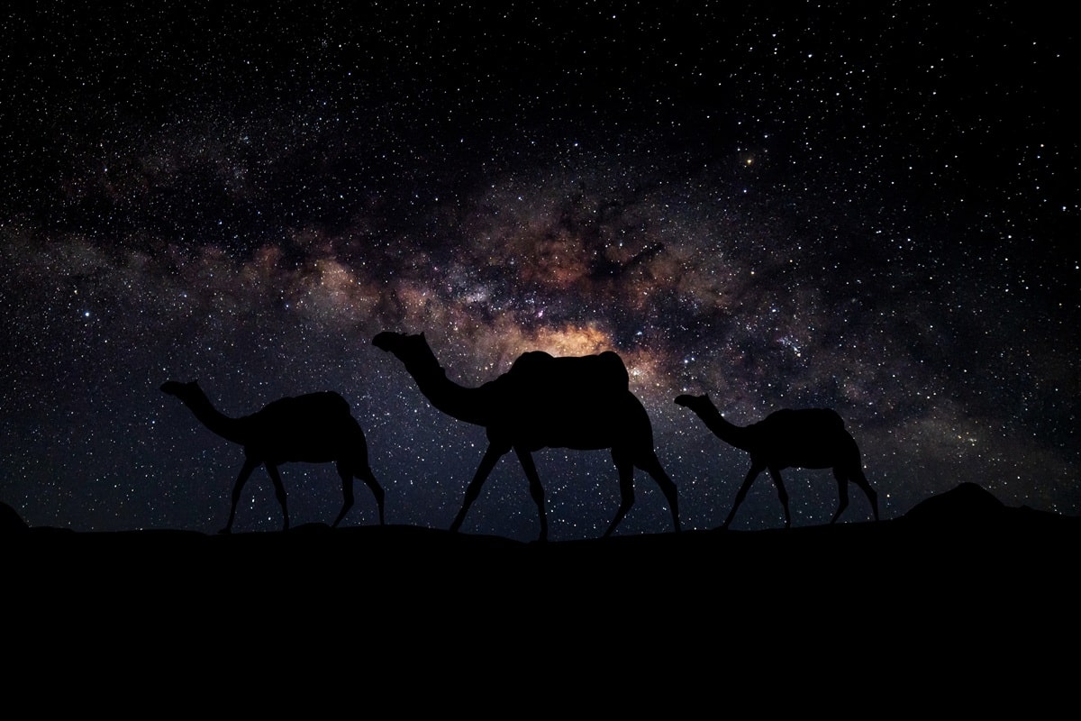 L&rsquo;horoscope arabe : les 12 signes